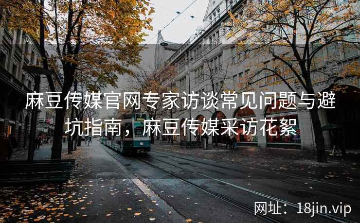 麻豆传媒官网专家访谈常见问题与避坑指南，麻豆传媒采访花絮