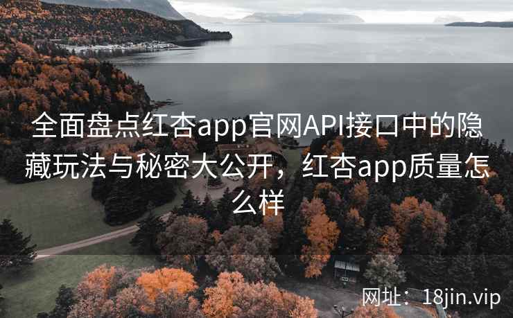 全面盘点红杏app官网API接口中的隐藏玩法与秘密大公开，红杏app质量怎么样