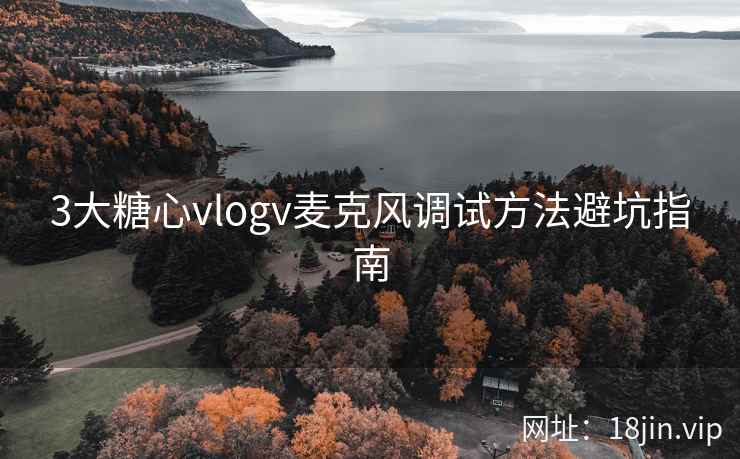 3大糖心vlogv麦克风调试方法避坑指南